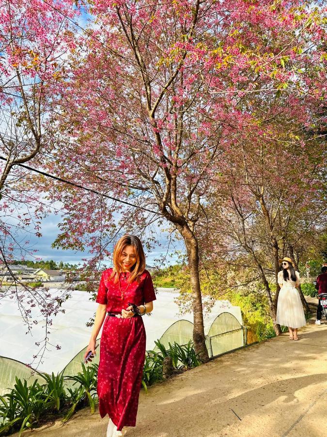 Hotel Stream Hotel-khach San Dep